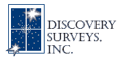 Discovery Surveys, Inc.
